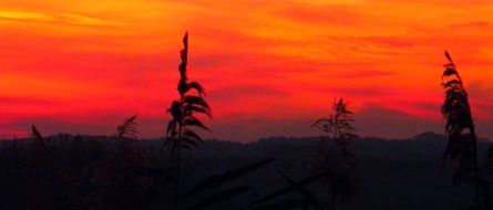 really beautiful red sunset