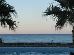 palm trees beach blue sea
