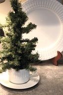 Christmas tree in a white ceramic pot