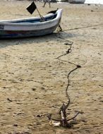 anchor of a boat on the sand