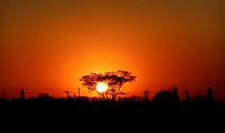 sun behind a tree on the horizon at dusk