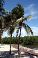 infinitely beautiful tropical beach