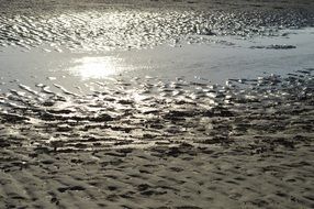 sandy Beach of Schiermonnikoog Island