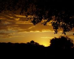 golden romantic sky at sunset