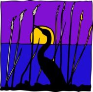 bird cormorant sunset drawing