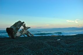 driftwood on stone beach in front of sea at dusk, japan