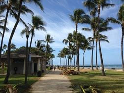 really beautiful hawaii