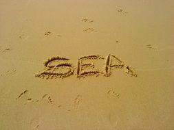 sea beach text