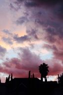purple clouds over rooftops
