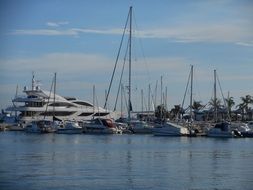 luxury yacht among boats in harbour