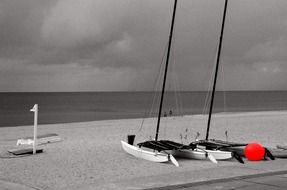 black and white photo of sailboats on the beach