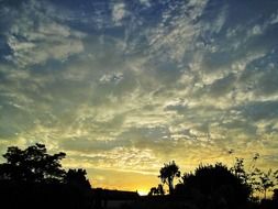 glow of golden sunset in the clouds above the trees