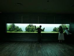 Fish tank in Tokyo