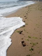 footprints in the sand near the surf on a sunny day