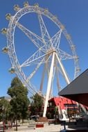 ferry wheel in melbourne