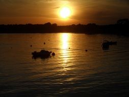 Golden evening sunset