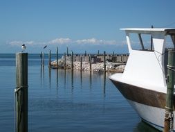 lobster boat in the harbor