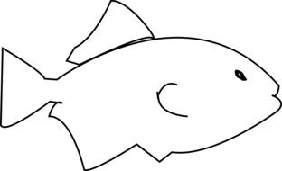 Colourless fish