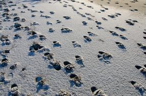 steps to the sea coast