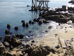 rocky beach in Monterey bay