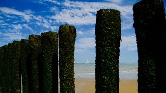 green posts on the beach