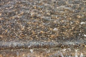 pebbles clear sea
