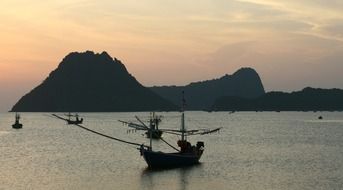 boats in serene harbor in thailand