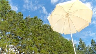 white beach umbrella on a sunny day