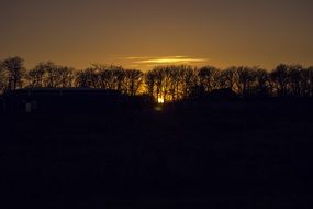 trees evening sunset