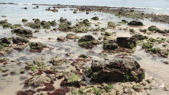 rocks reef