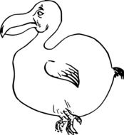 Flightless dodo bird as an illustration