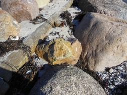 granite stones on the beach close up