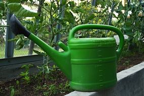 green jug for watering in the greenhouse