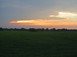 Pasture at the sunset