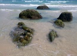 rocks in the water on the beach