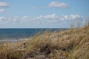 sand dunes in dry grass on the coast