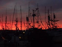 Sailing boats in San diego