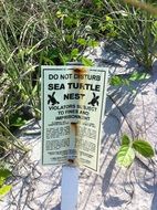 sign beach