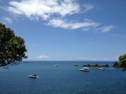 boats on the water in new zealand