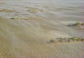 wavy line of coast close-up