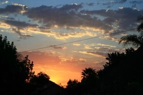 the sun went down behind the trees