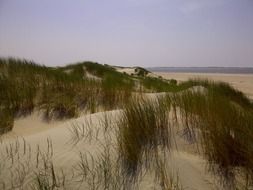beautiful sand dunes at north sea, denmark