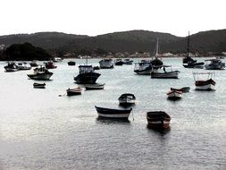 panoramic view of boats in litoral