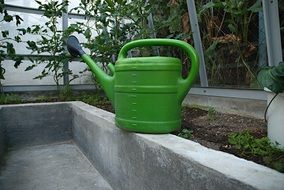 green watering can for watering