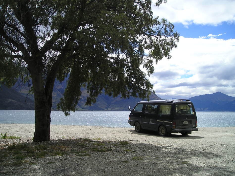 camper on beach with the tree at lake, new zealand
