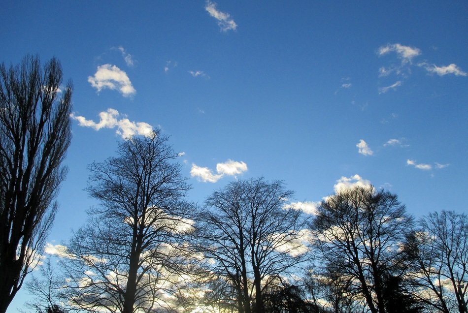 blue sky and white clouds over the alley