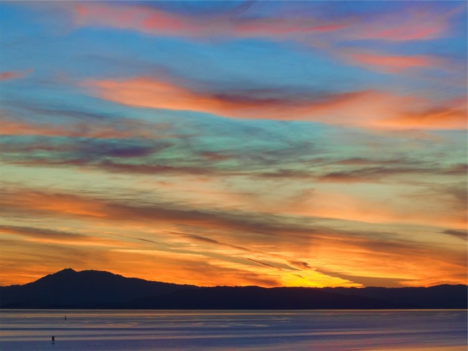irresistible sky silhouette