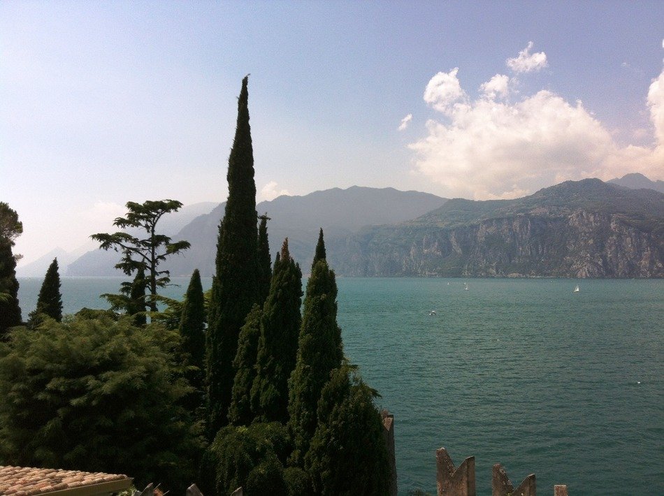 trees near a lake in italy