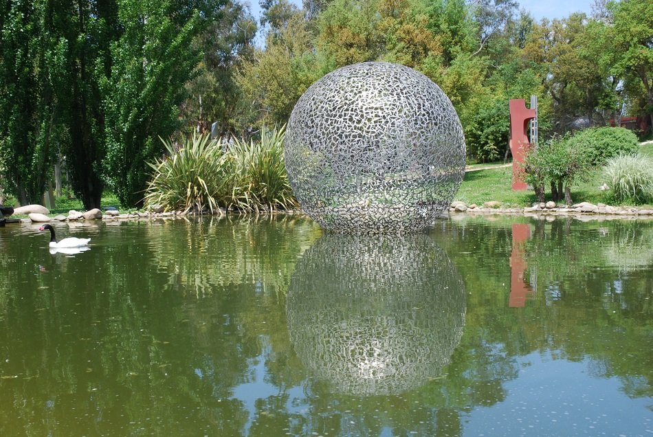 mirror image of plants in water