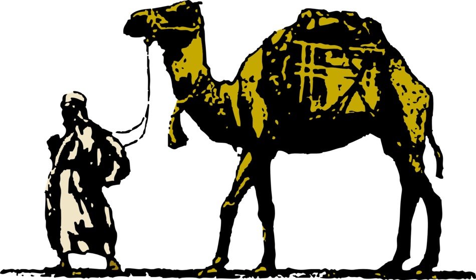 graphic image of a camel as a transport